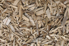 biomass boilers Boquhan